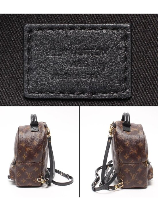 Louis Vuitton Backpack Palm Springs Mini Monogram main image 6